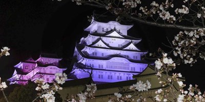 LÂU ĐÀI HIMEJI - TÒA THÀNH CỔ LỚN NHẤT XỨ PHÙ TANG