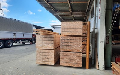 TUYỂN 5 NAM GIA CÔNG NGUYÊN LIỆU GỖ
